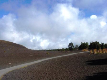 Devestation Path in Volcano Nat Park